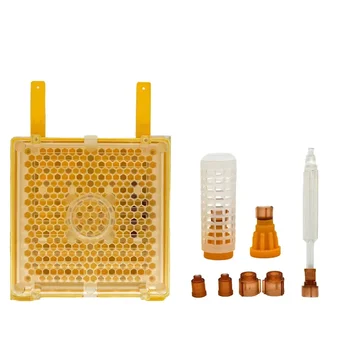 Jenter Система Стартовых наборов Для Выращивания Маток Инструмент Для Пчеловодства Оборудование для Пчеловодства Поставка Пчеловодов Пчеловодство Apicultura Apicoltura