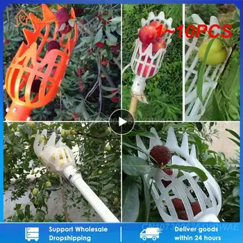 Головка для сбора фруктов в садовой корзине, 1 ~ 10ШТ, Многоцветный пластиковый инструмент для сбора фруктов, Сельскохозяйственный сбор ягодного мармелада