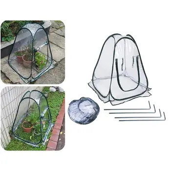 Мини-теплица с прозрачной крышкой для защиты растений
